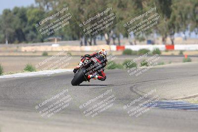 media/Sep-07-2025-Pacific Track Time (Sun) [[a6322260b9]]/C Group/Wheelie Bump/
